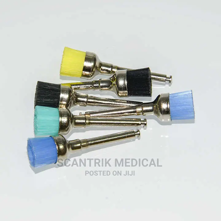 Colorful Dental Prophy Bristle