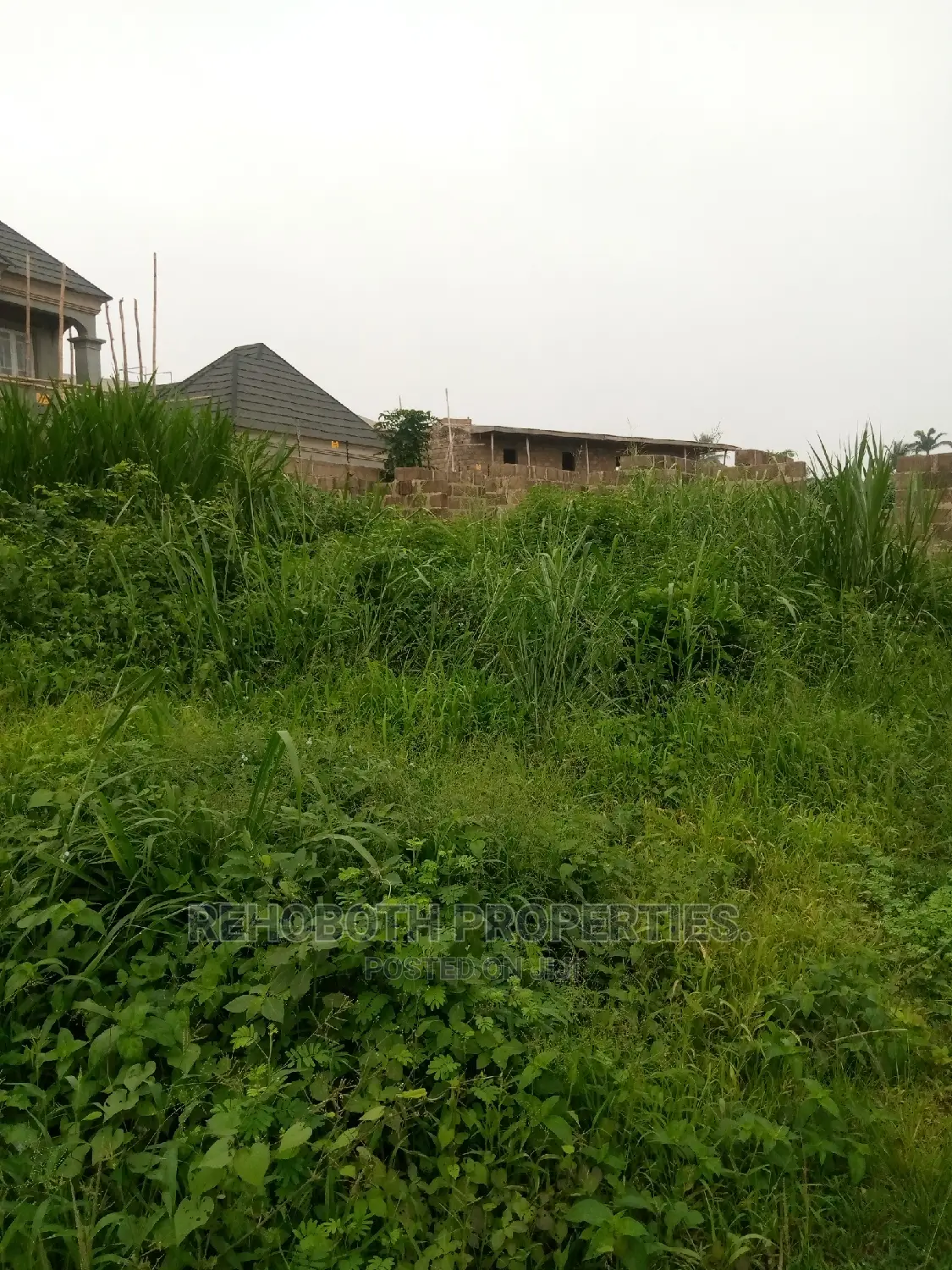 Survey, Building Plan