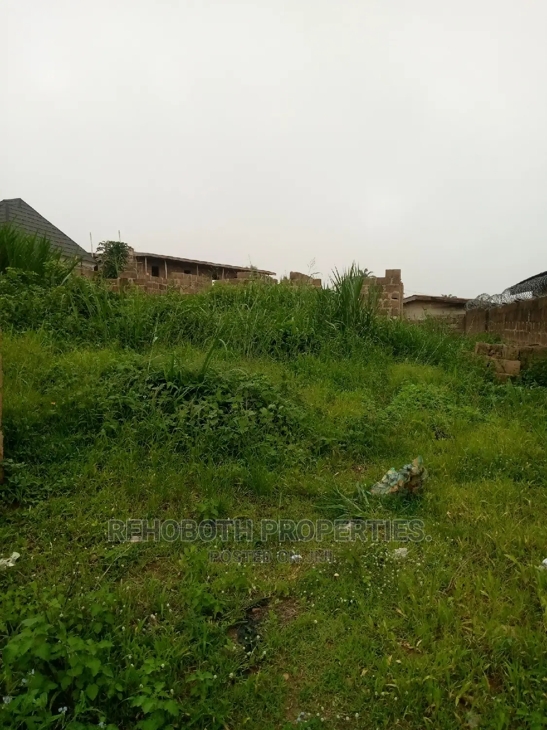 Survey, Building Plan