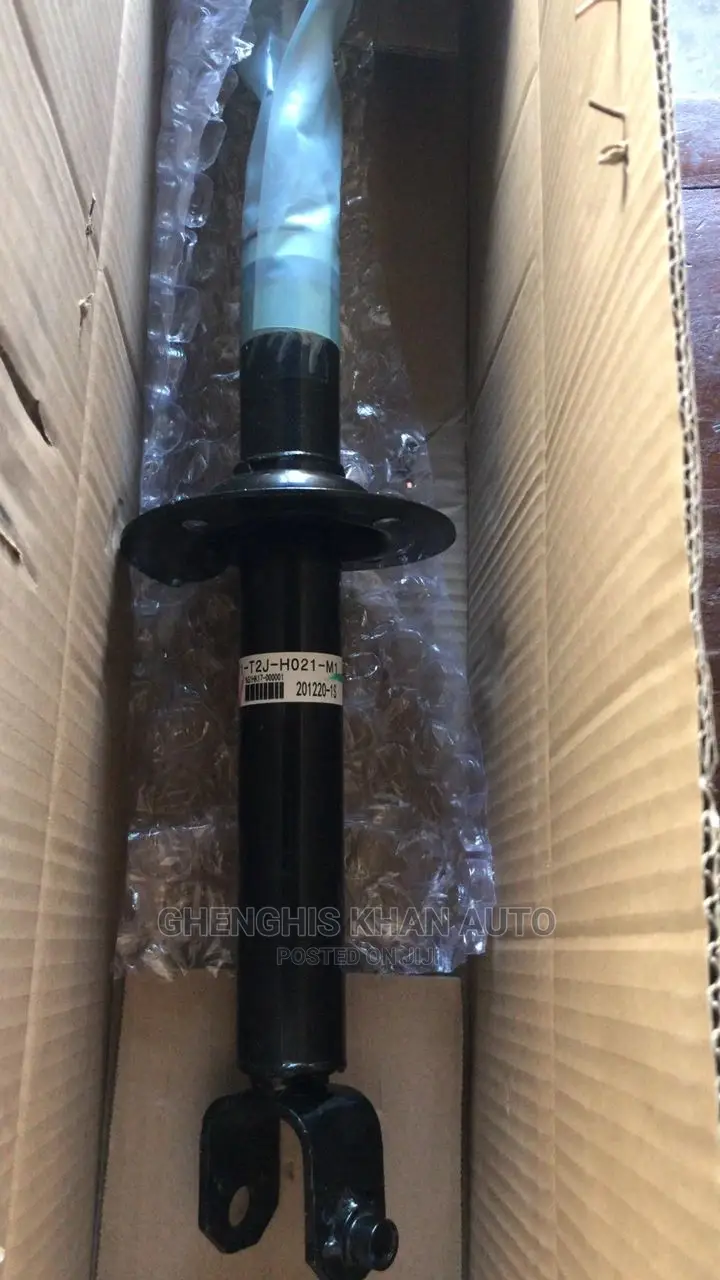 Back Shock Absorber 2013acc