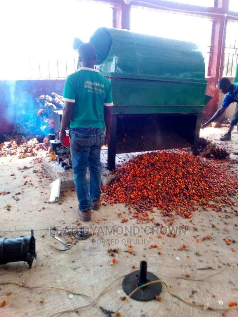 Palm Fruits Debuncher Machine