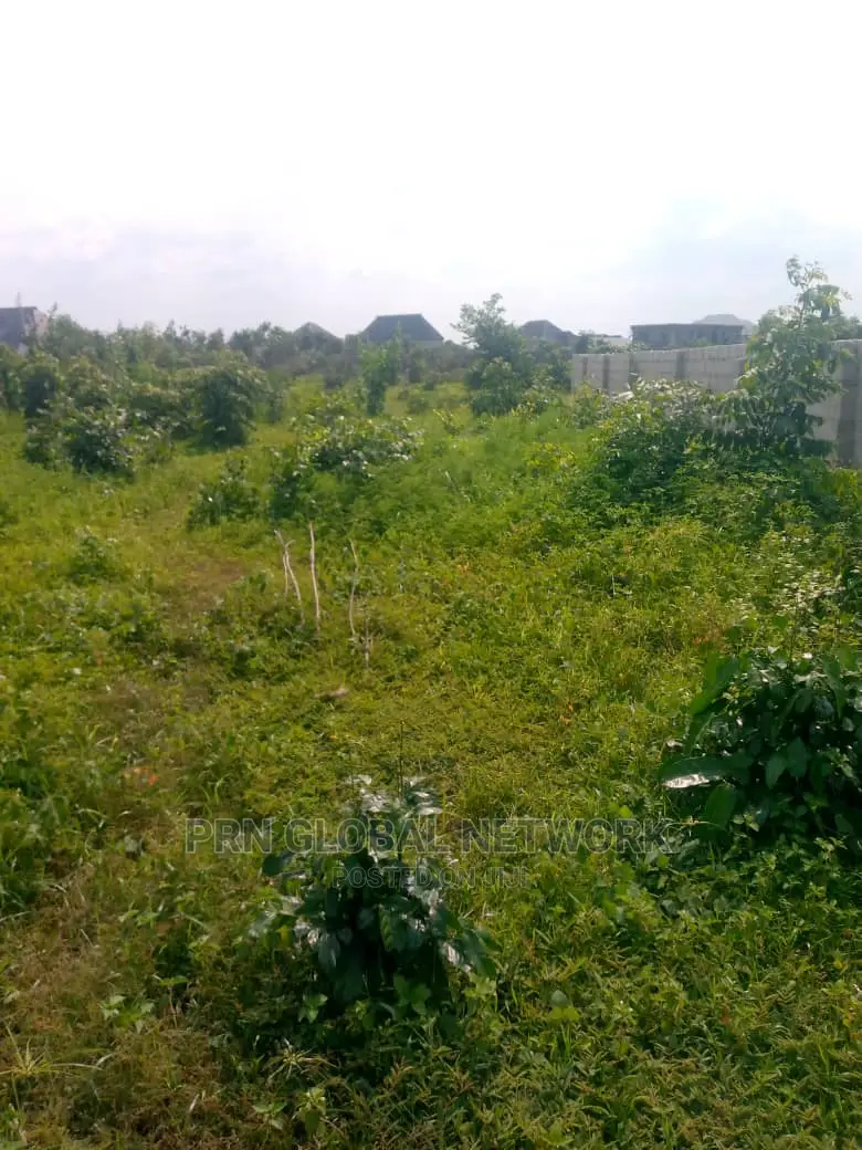 4 Plotof Land for Sale