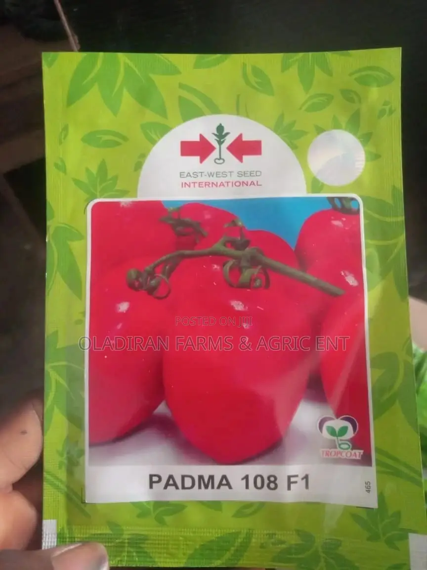 Padma F1 Tomato Seeds ( East West Seed)