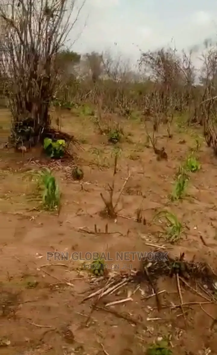 Farmland for Sale
