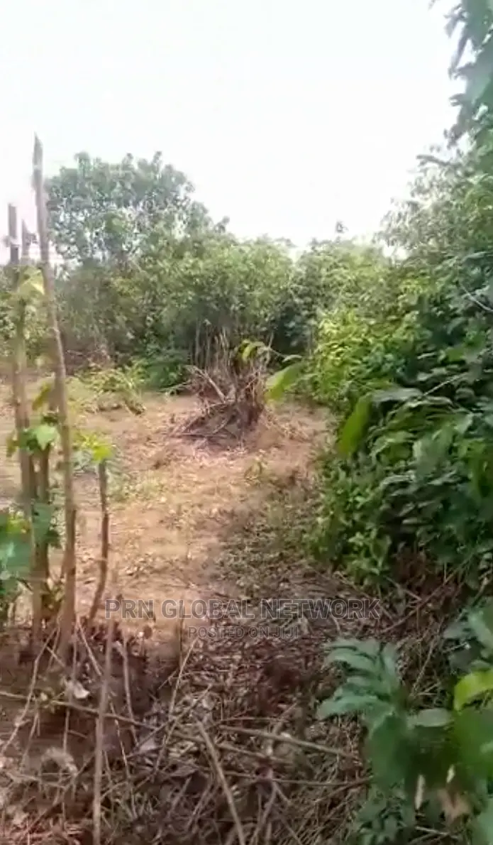 Farmland for Sale