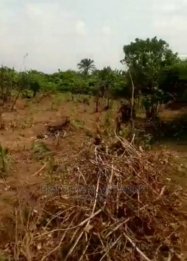 Farmland for Sale
