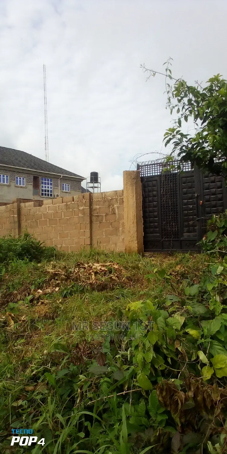 Half Plot of Land