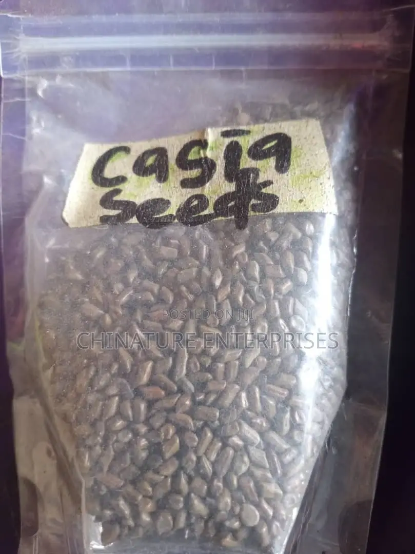 Casia Seeds (100gm)