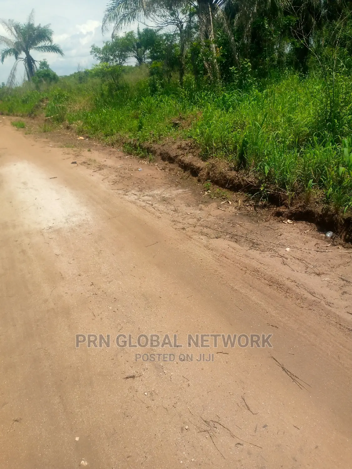 Buy and Build Plot for Sale