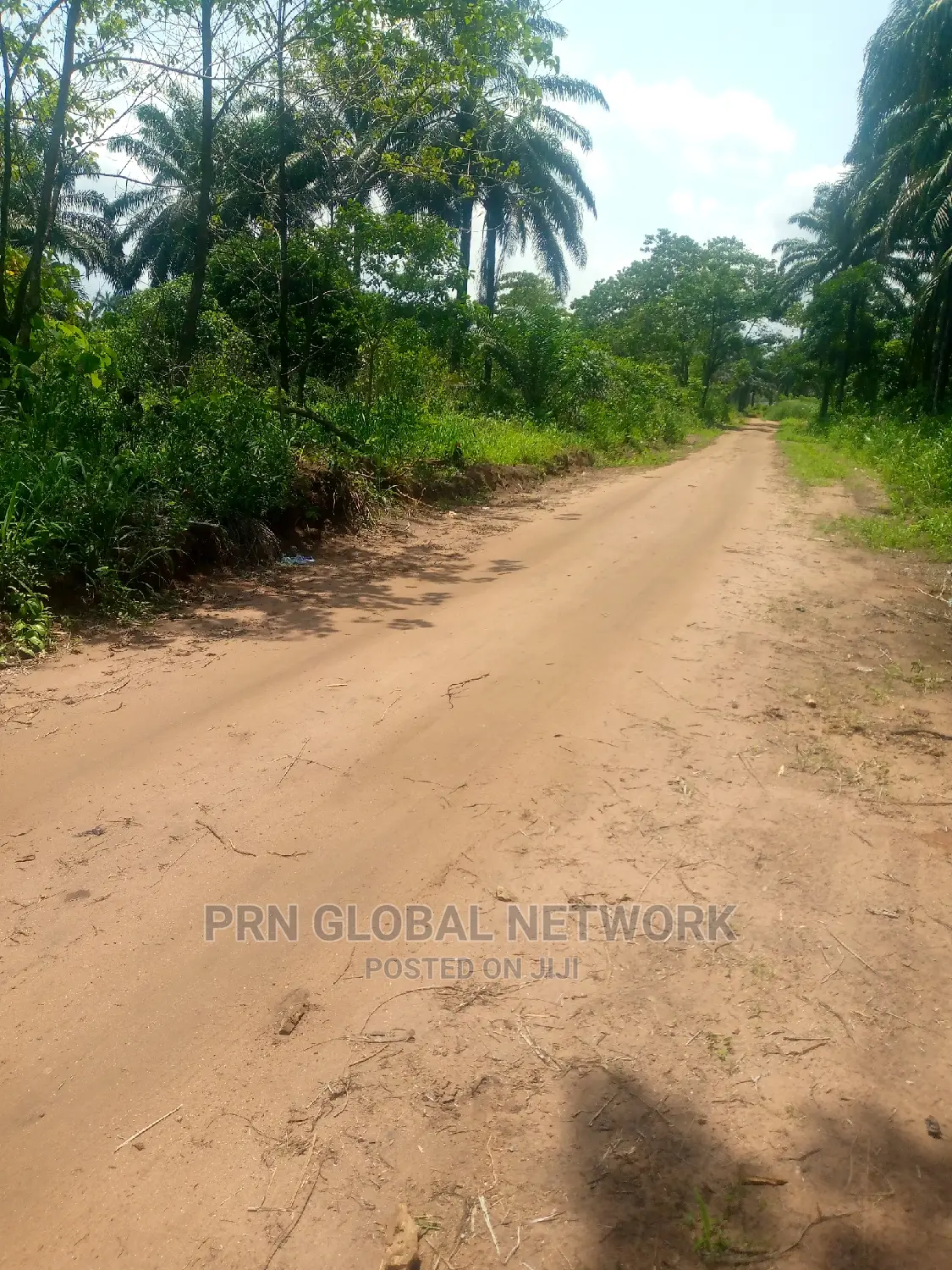 Buy and Build Plot for Sale