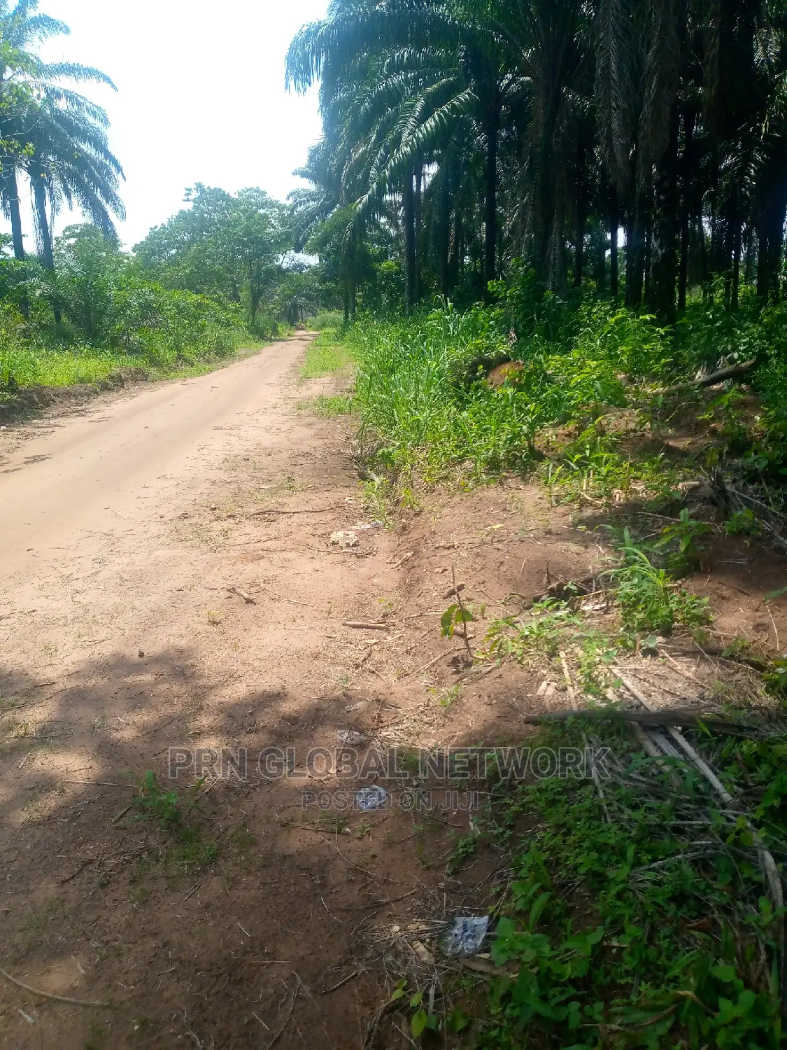 Buy and Build Plot for Sale