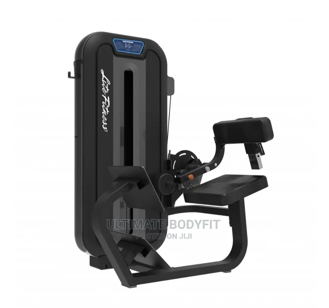 Brand New LD8031 Back Extension Machine