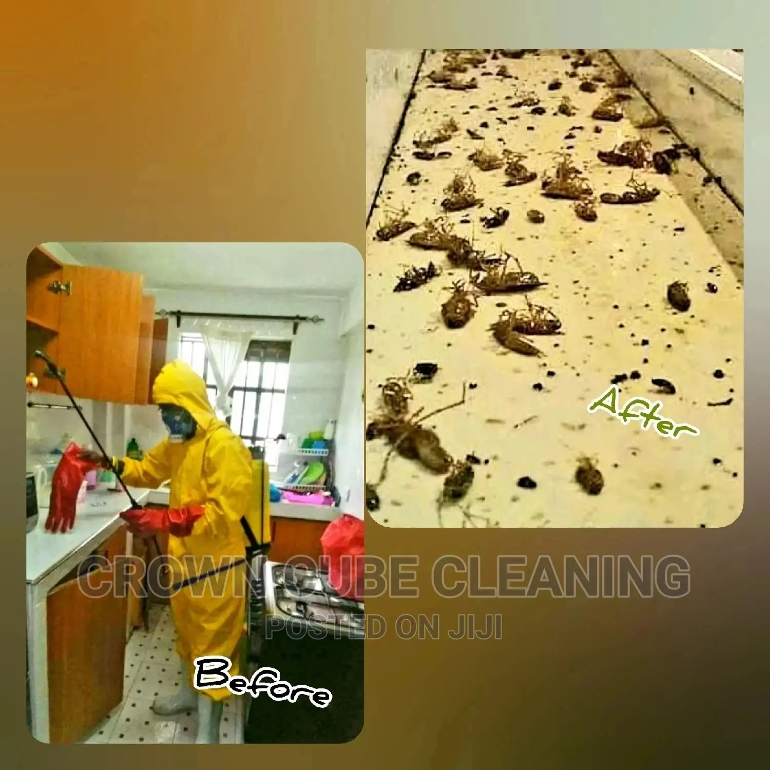 Pest Fumigation Services. Call Us Now