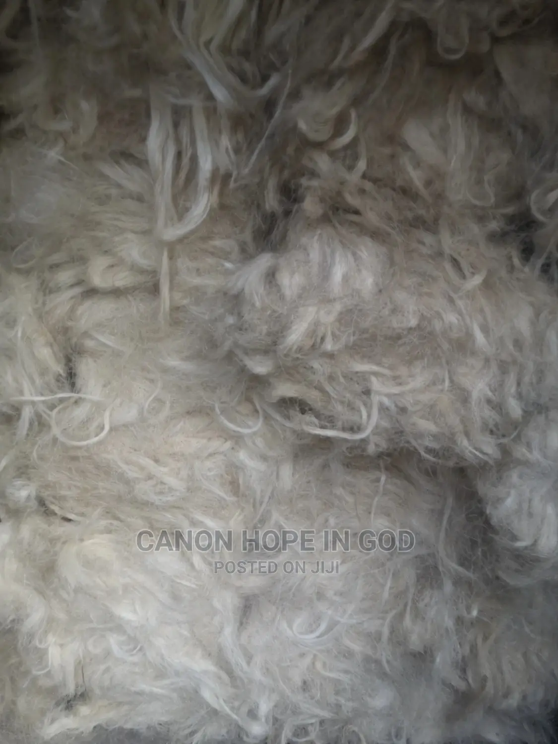 Fillers or Sponge Kenya, Brazil and Tanzania