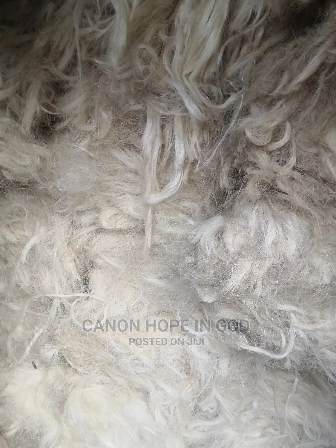 Fillers or Sponge Kenya, Brazil and Tanzania