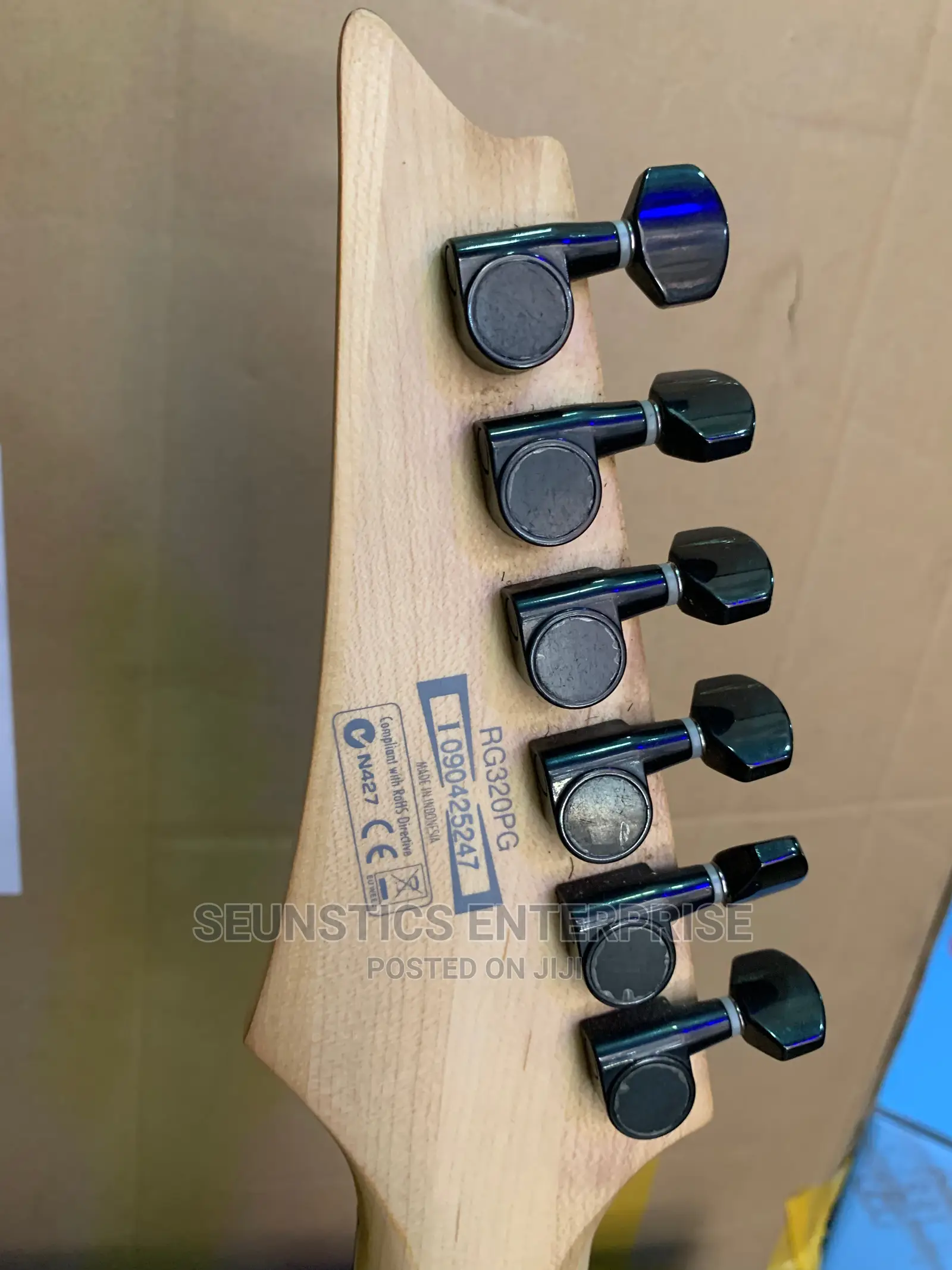 Professional Ibanez RG Series Lead Guitar