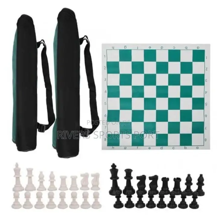 Portable Professional Chess Board Game With Carry Bag