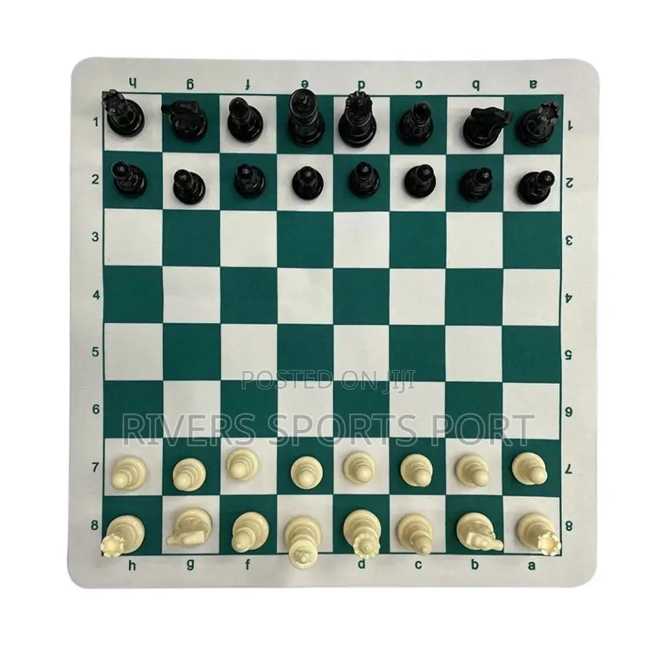 Portable Professional Chess Board Game With Carry Bag