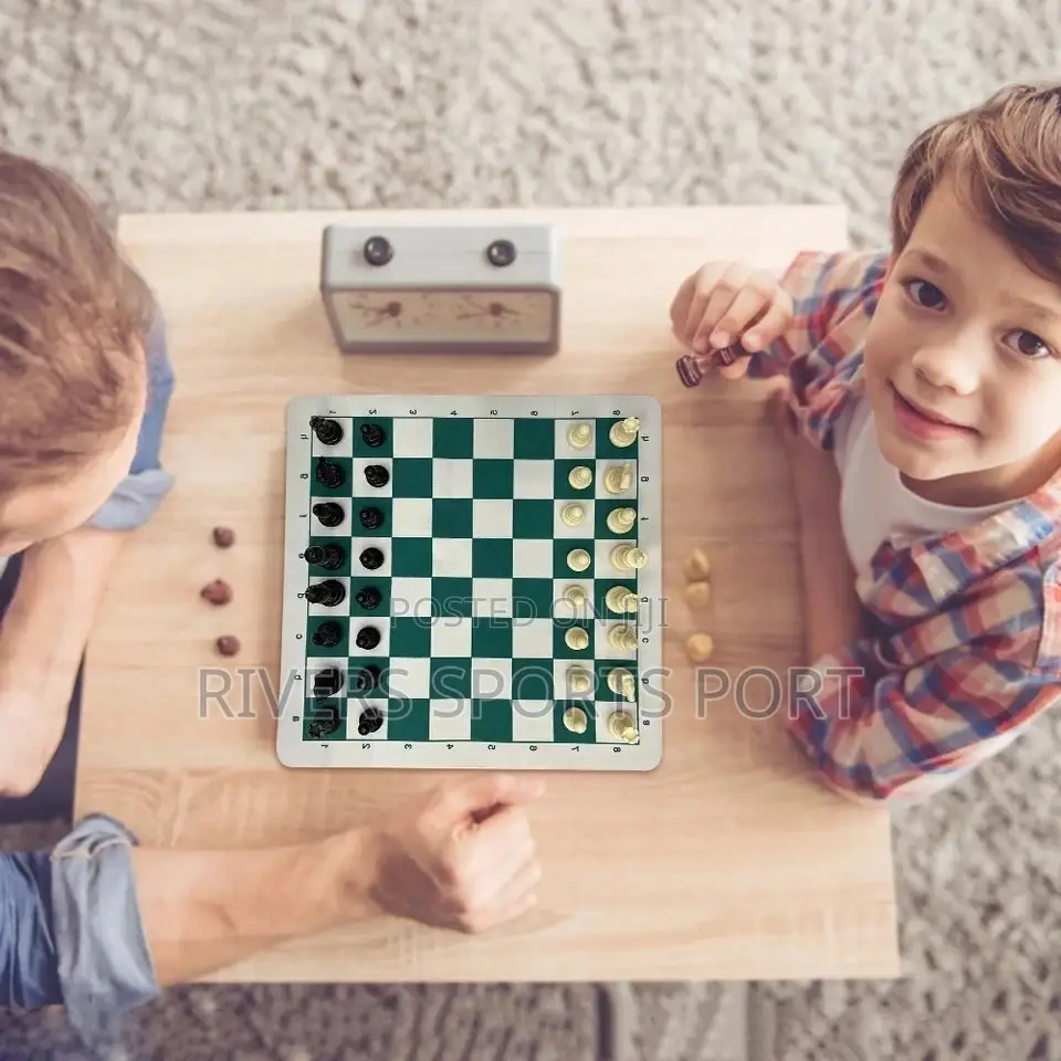Portable Professional Chess Board Game With Carry Bag