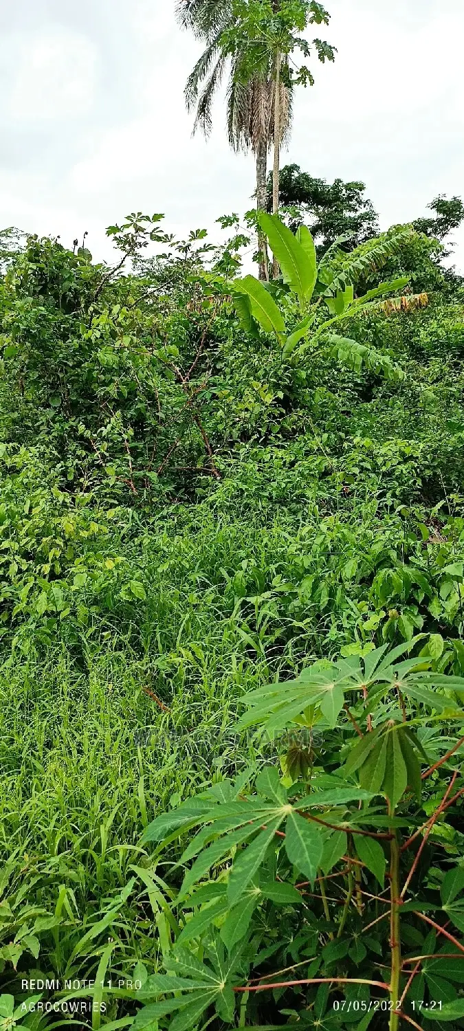 Acres of Greenlands for Sale