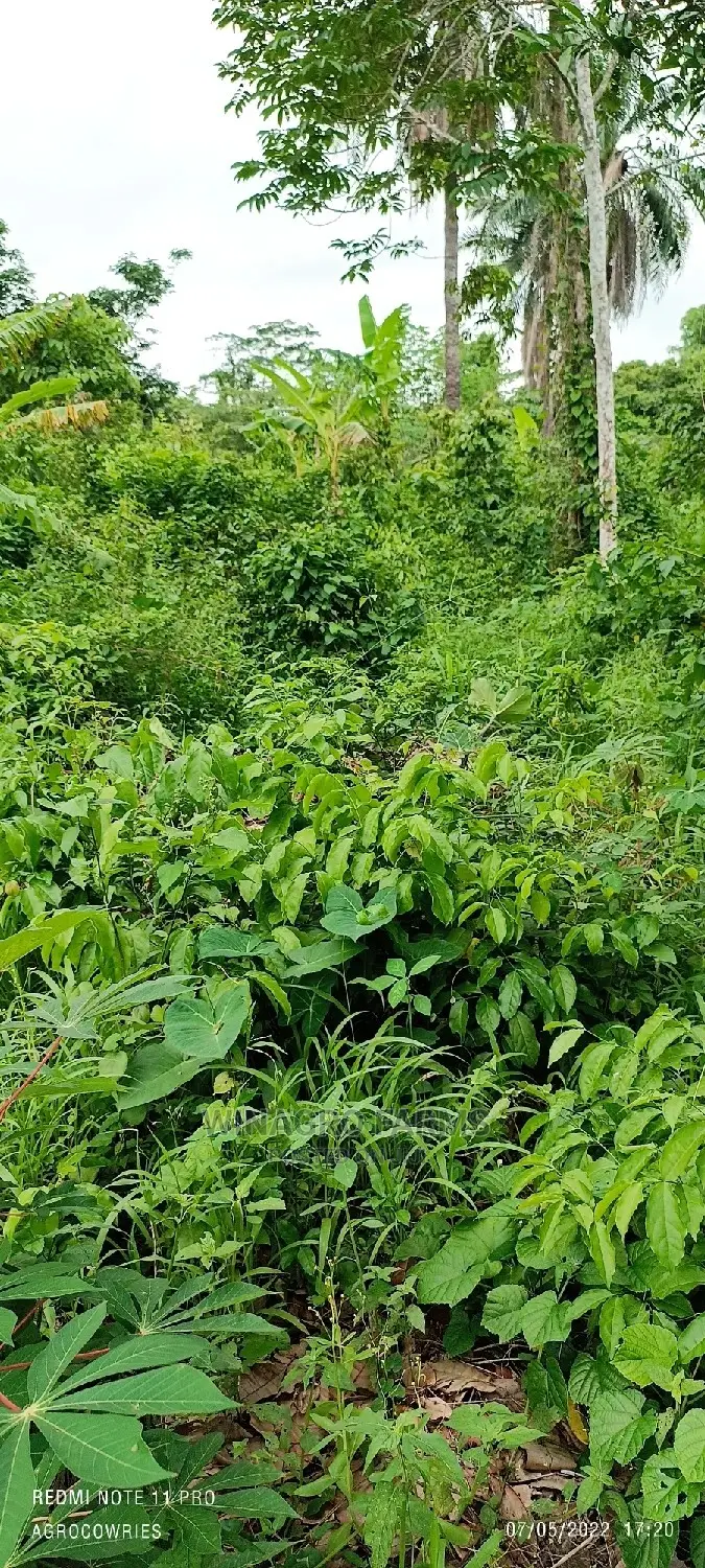 Acres of Greenlands for Sale