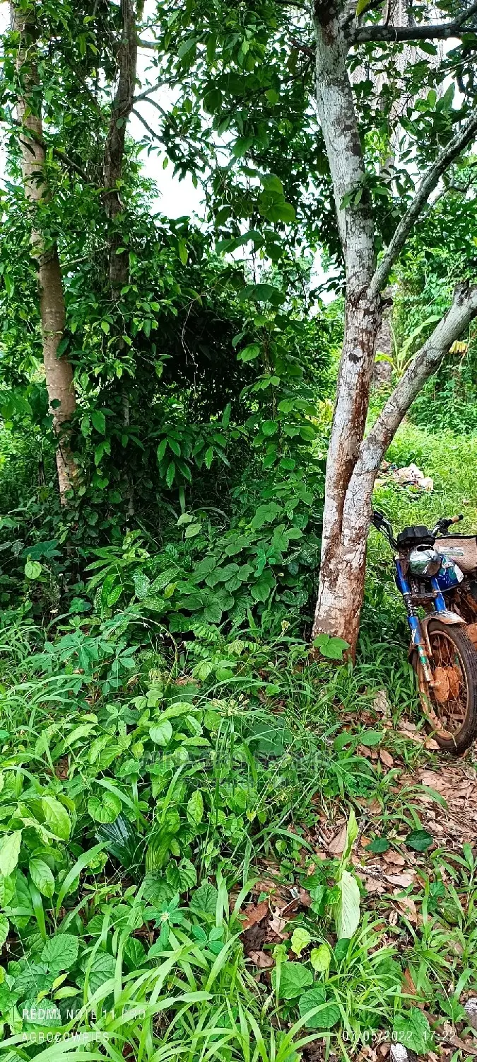 Acres of Greenlands for Sale