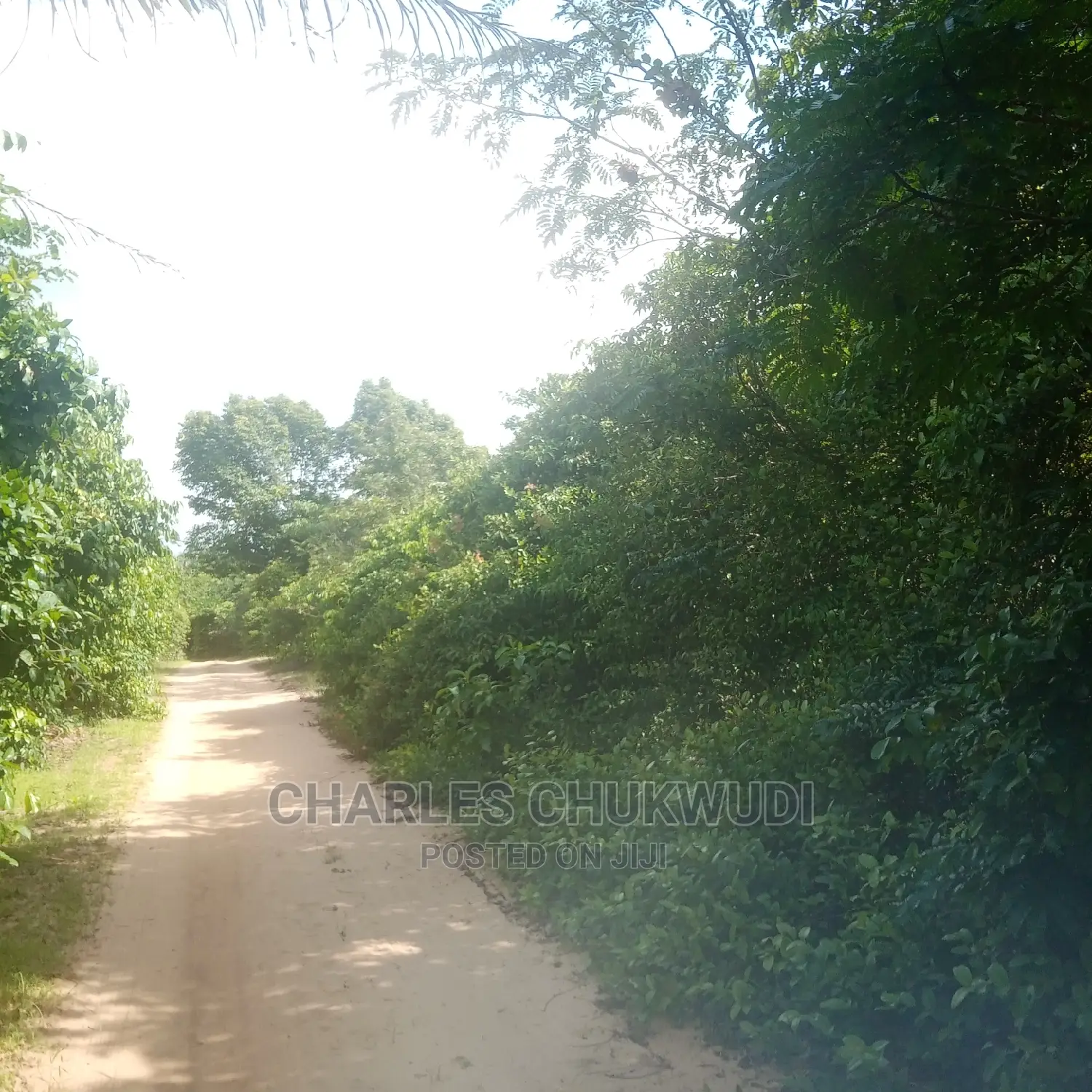 350 Acres for Sale at Ibeju Lekki Lagos