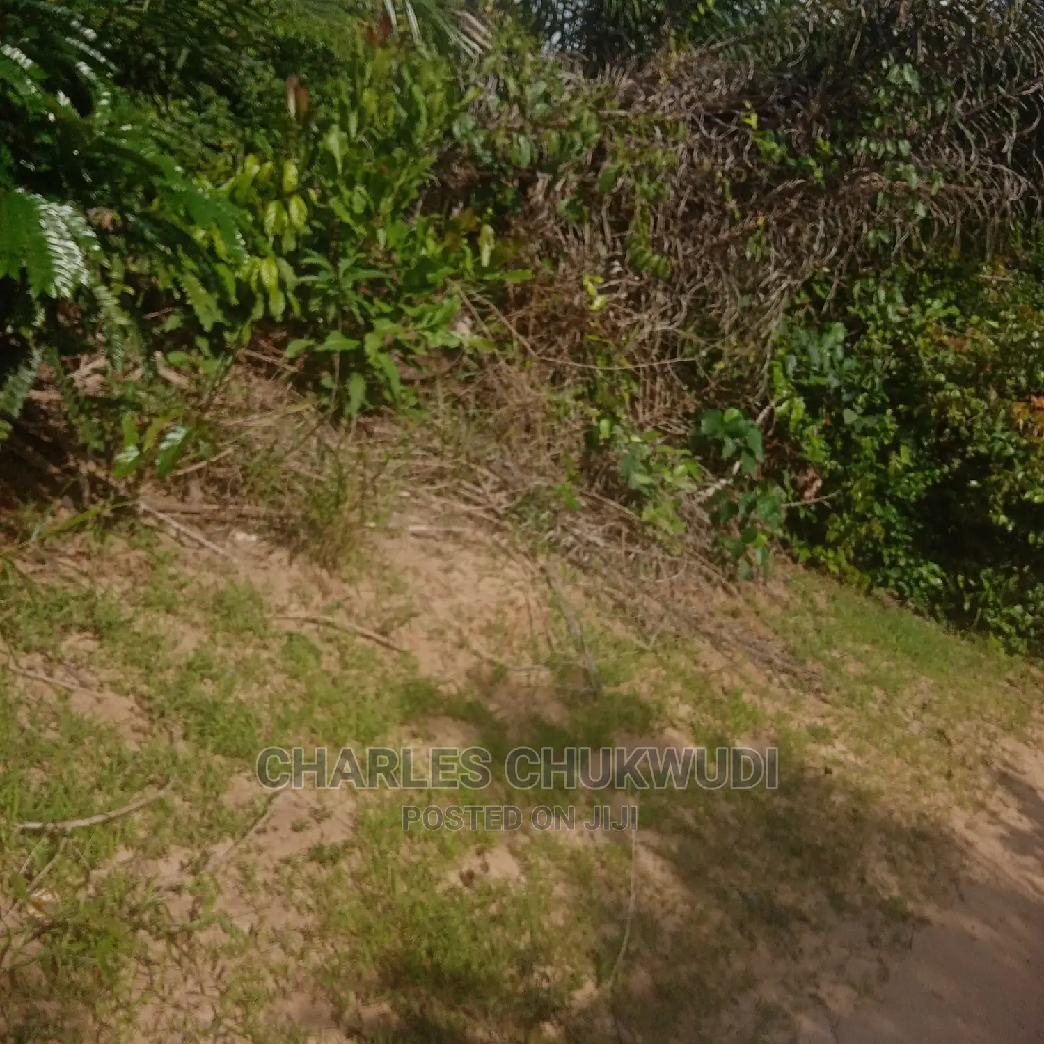 350 Acres for Sale at Ibeju Lekki Lagos