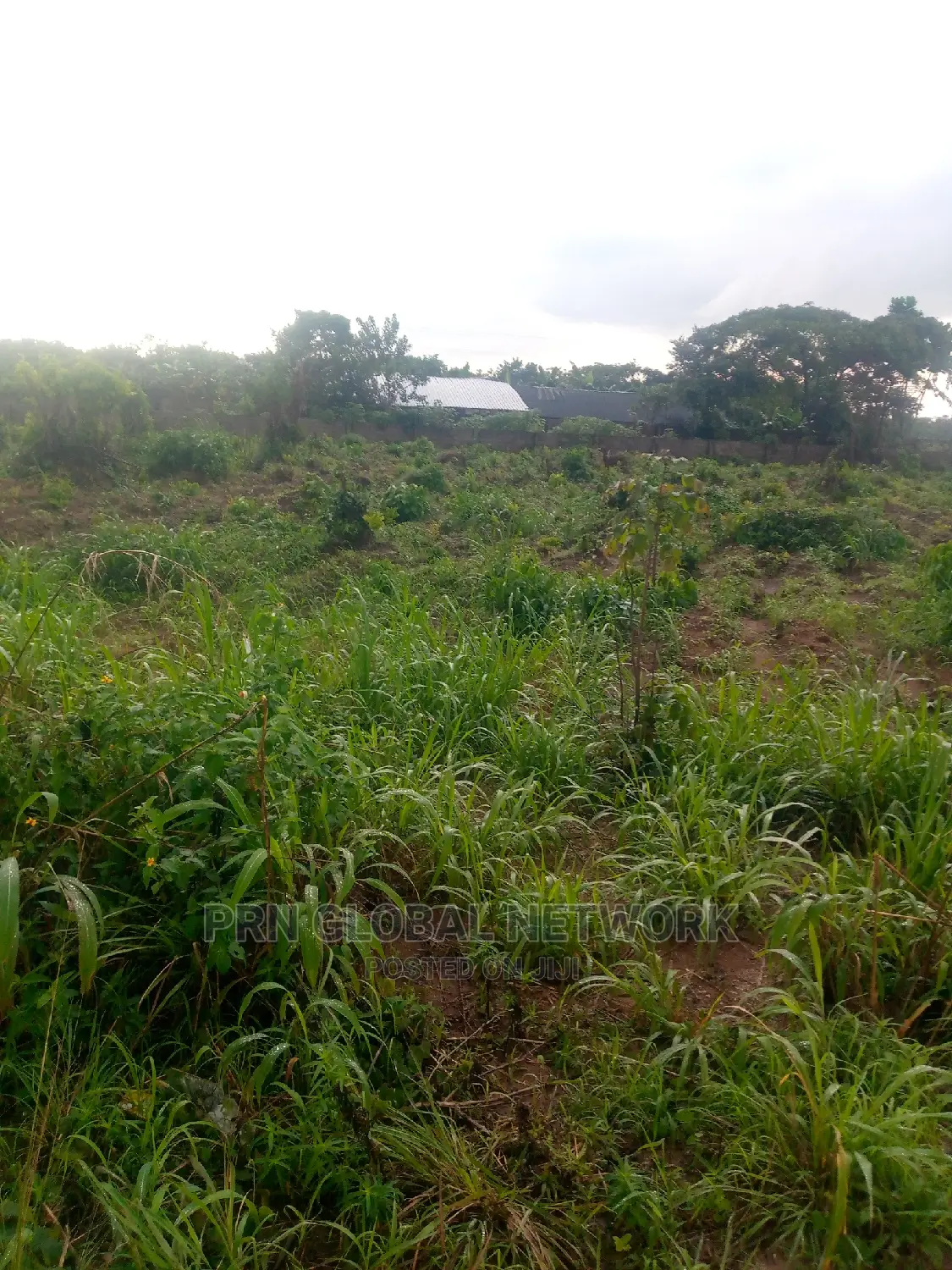 Few Plots of Land Available