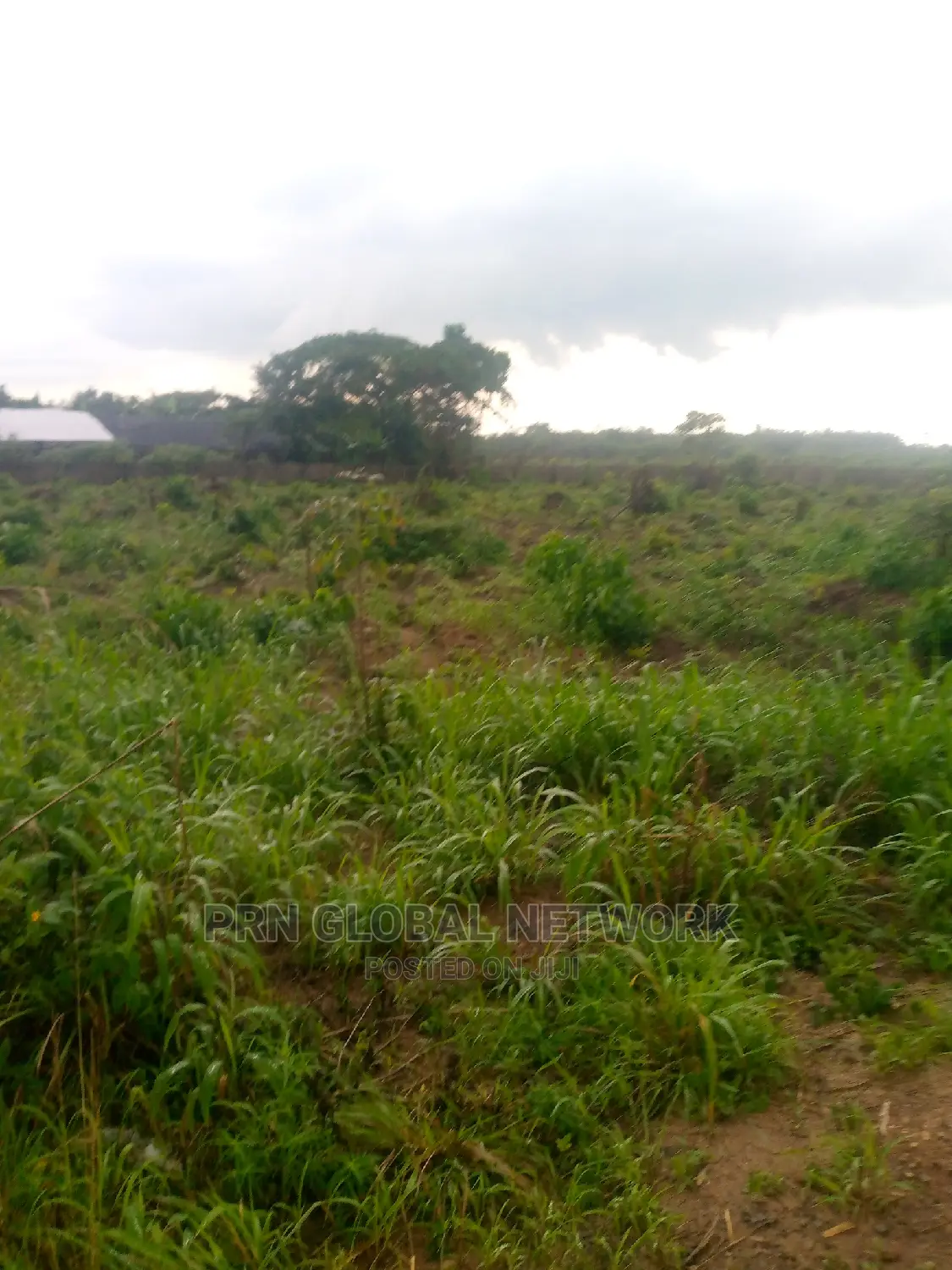 Few Plots of Land Available