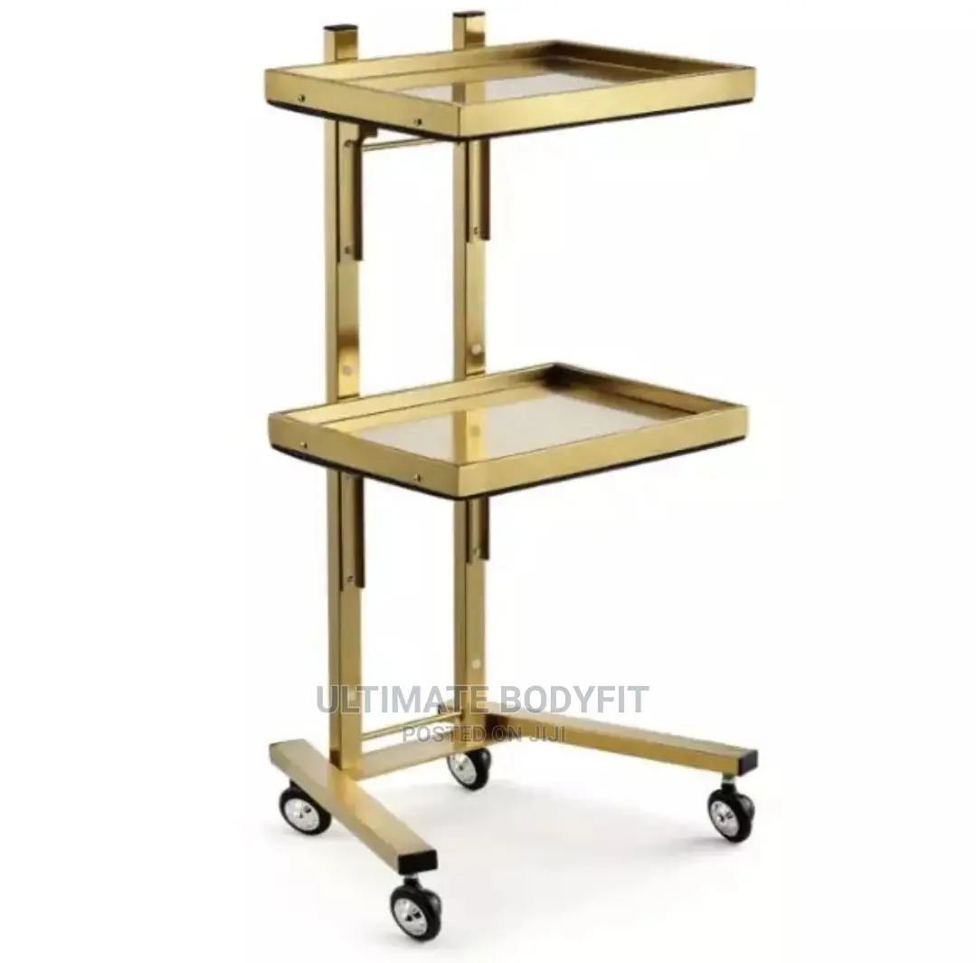 Brand New Portable Gold Fordable Two Tray Trolley