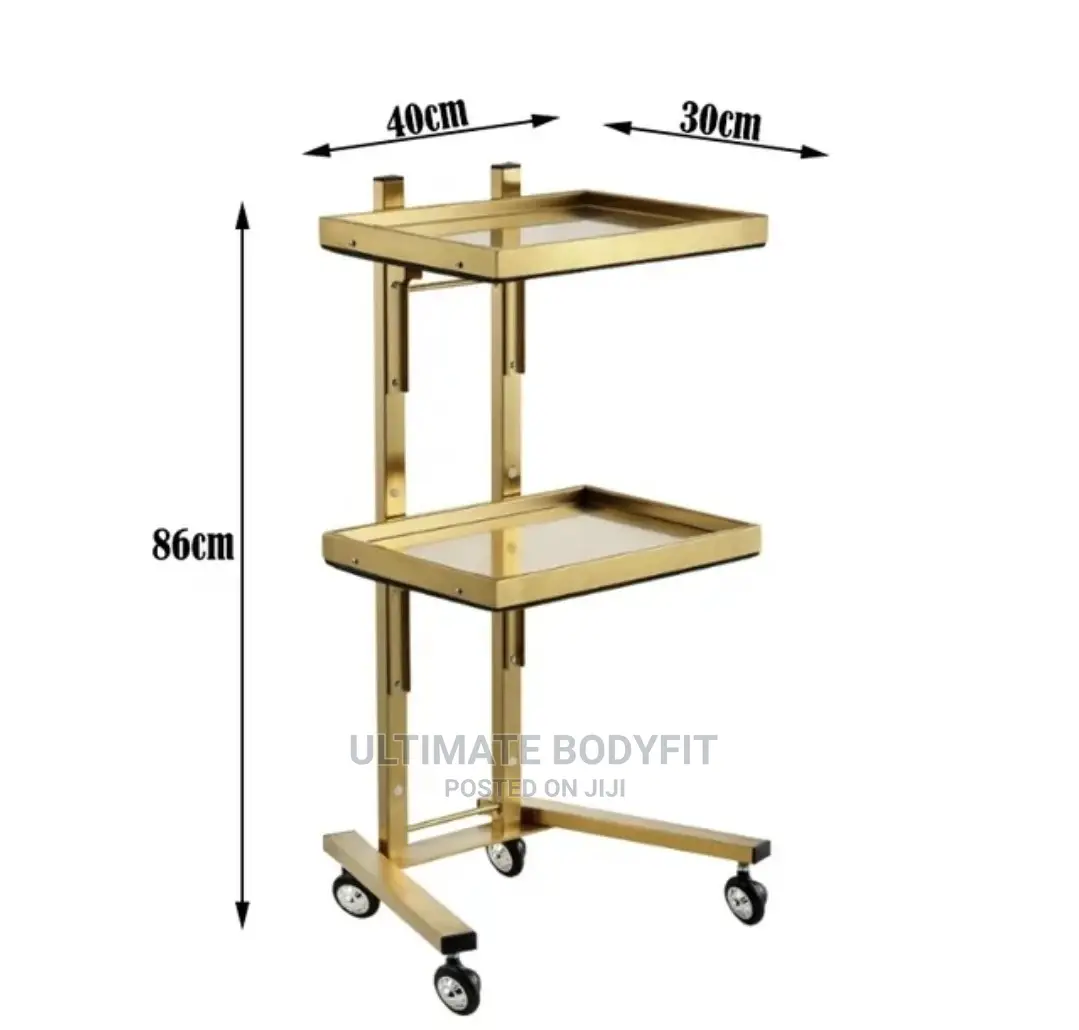 Brand New Portable Gold Fordable Two Tray Trolley