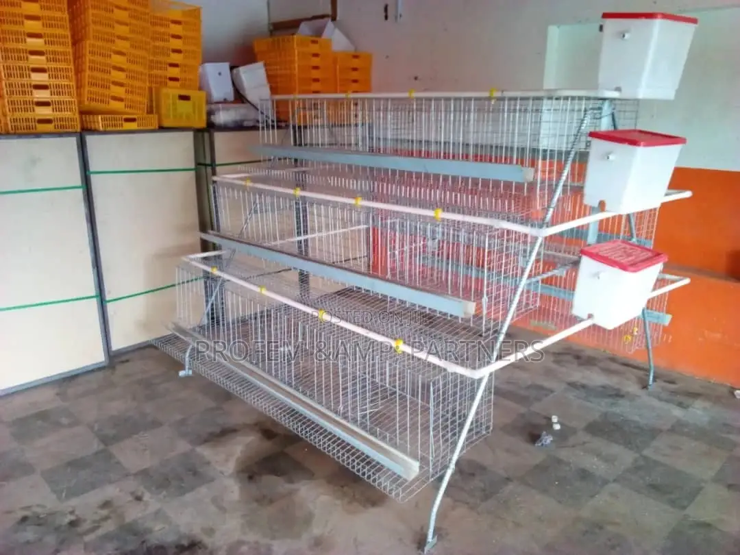 Local Battery Cages