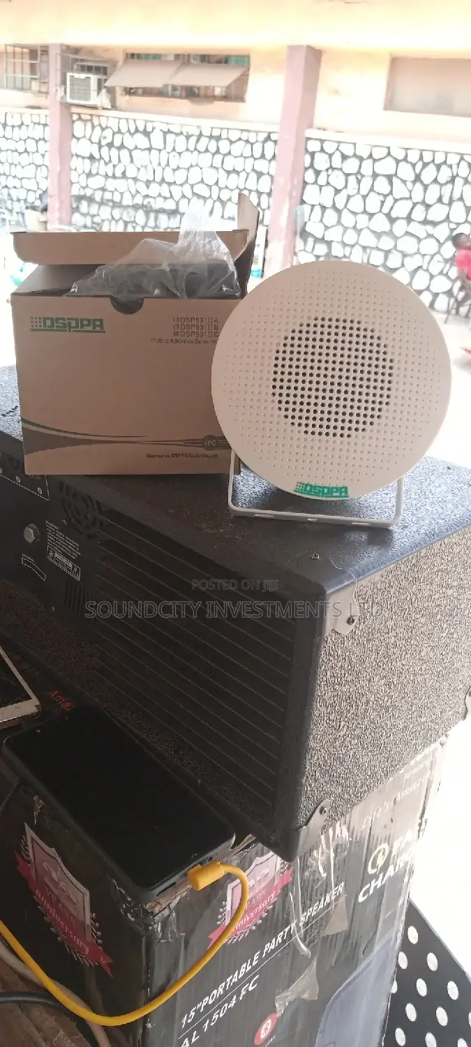 100 Volts Hanging Ceiling Speaker