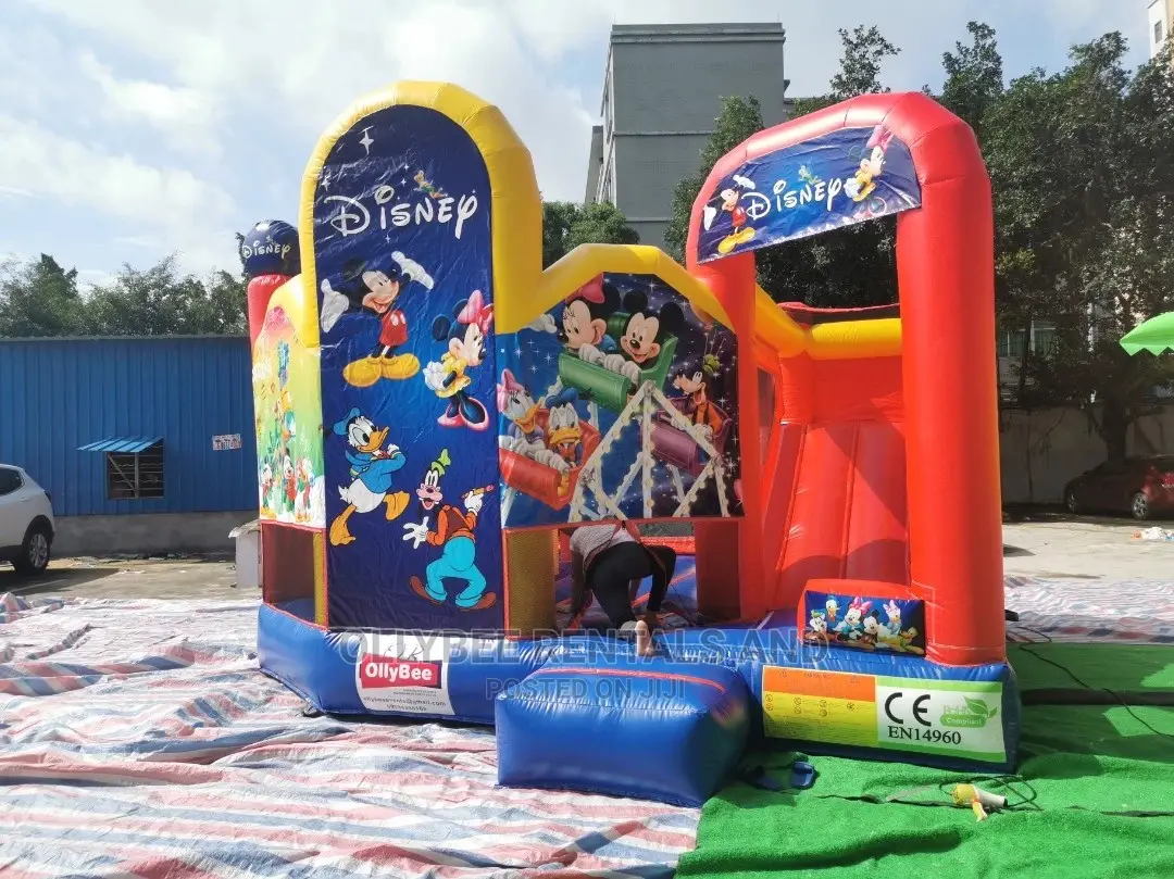 Brand New Disney Themed Bouncy Castle