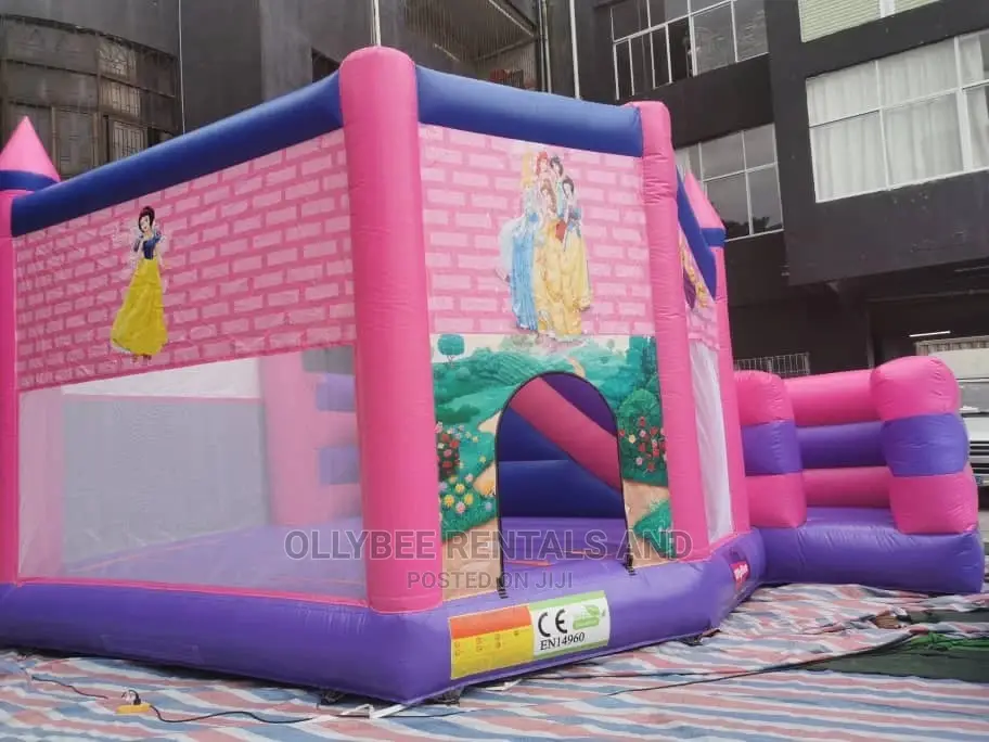 Princess Themed Combo Bouncy Castle