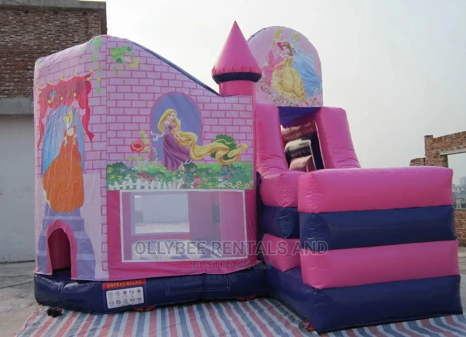 Princess Themed Combo Bouncy Castle