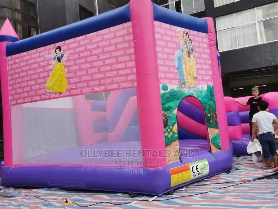 Princess Themed Combo Bouncy Castle