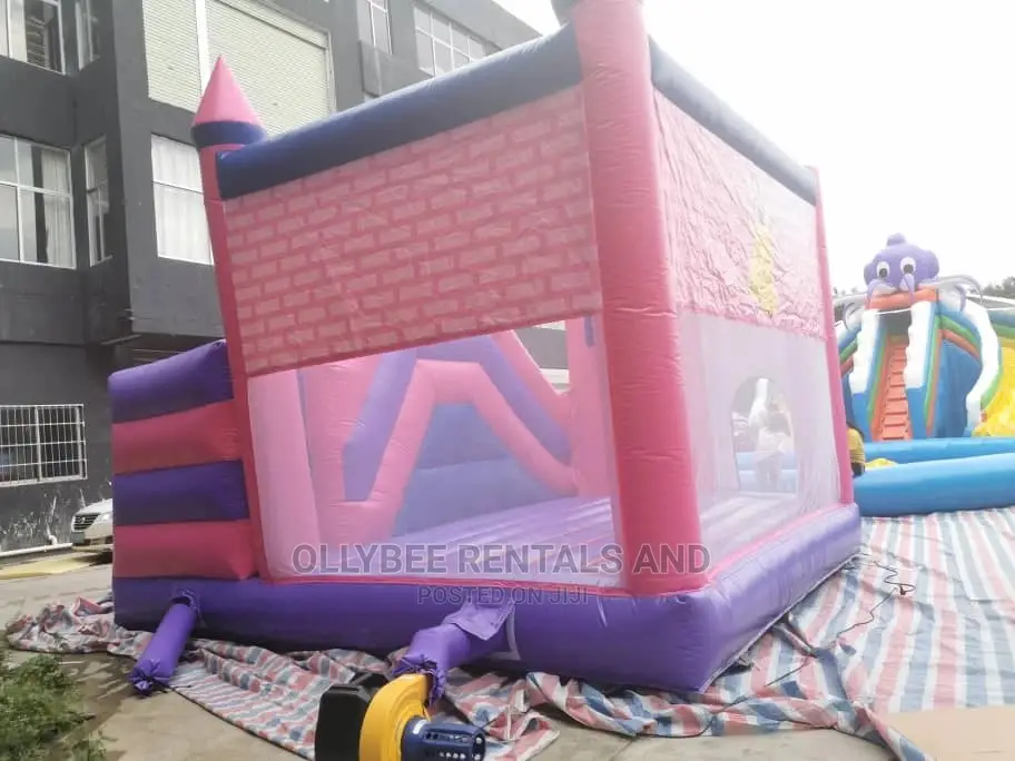 Princess Themed Combo Bouncy Castle