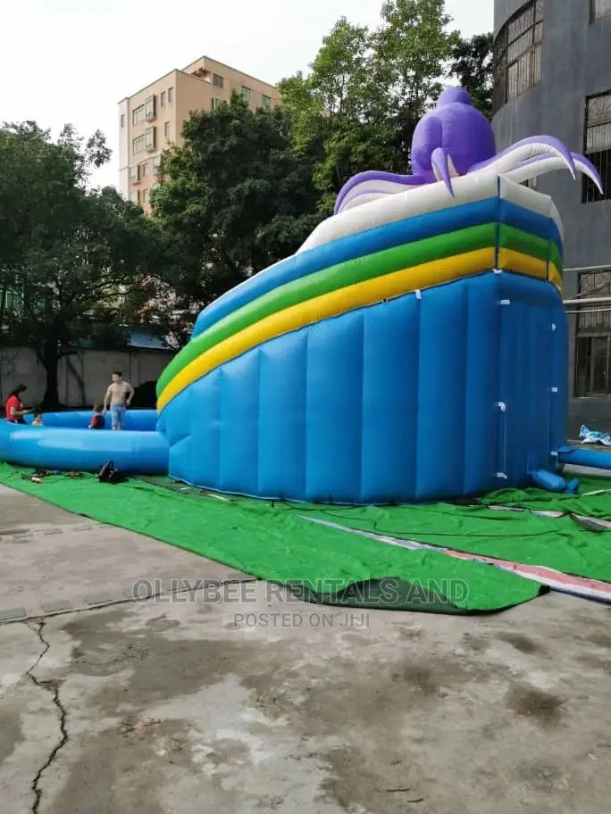 Octopus Themed Combo Slides With Swimming Pools