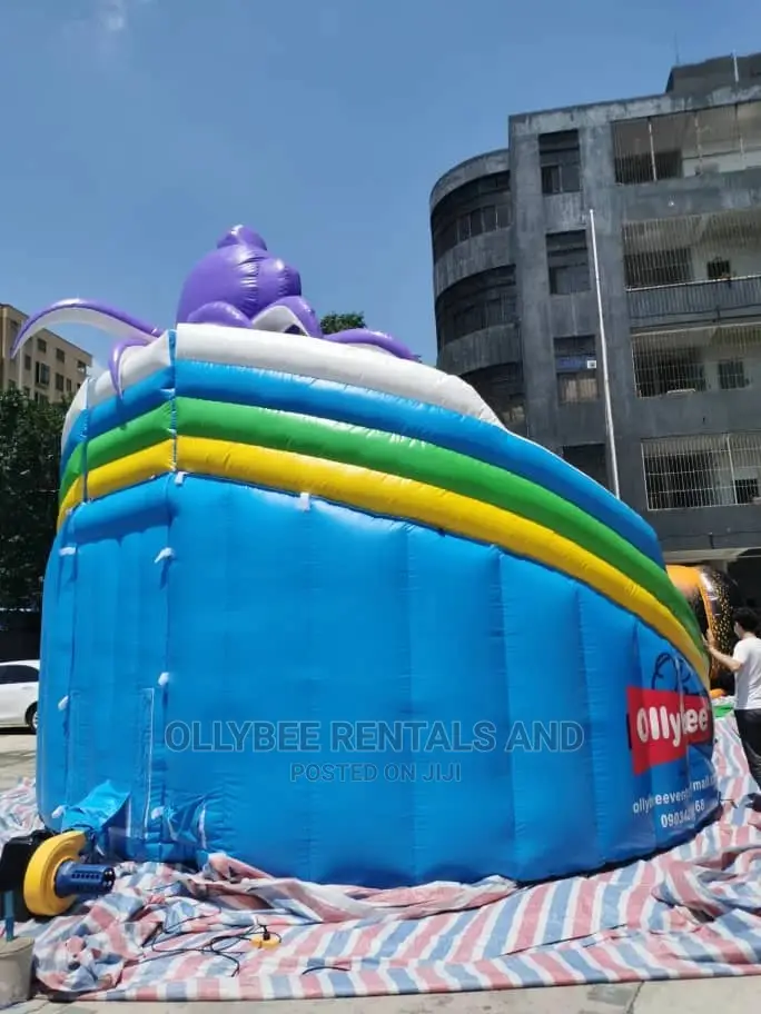 Octopus Themed Combo Slides With Swimming Pools