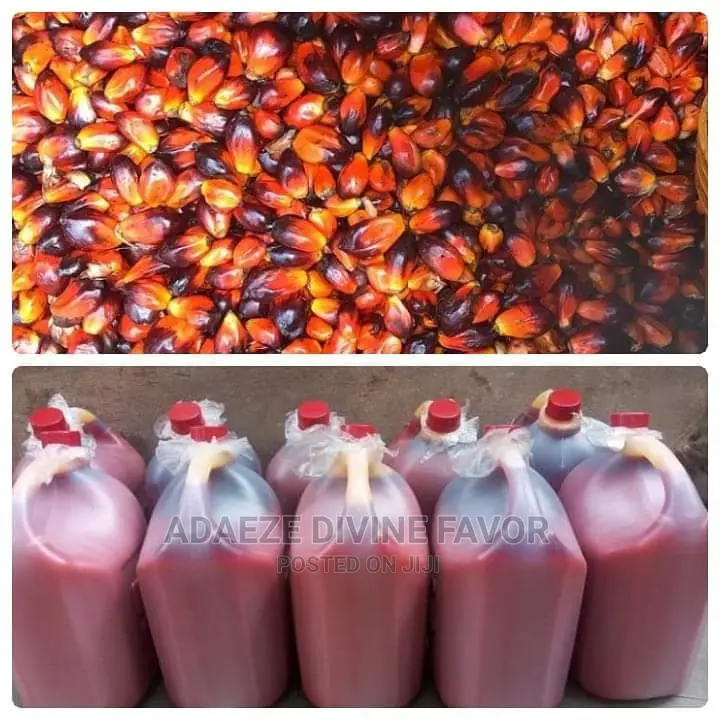 Original 5litre Palm Oil
