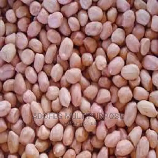 Groundnut Seed for Planting Per Kg