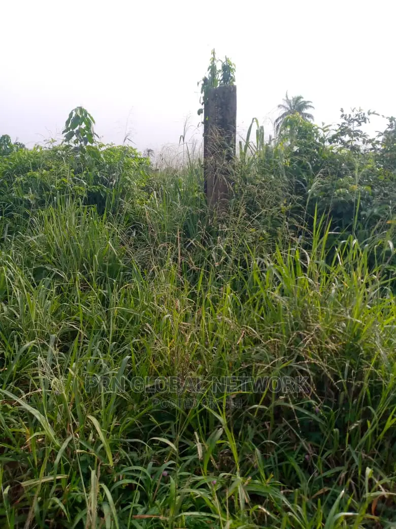 2 Half Plot for Sale