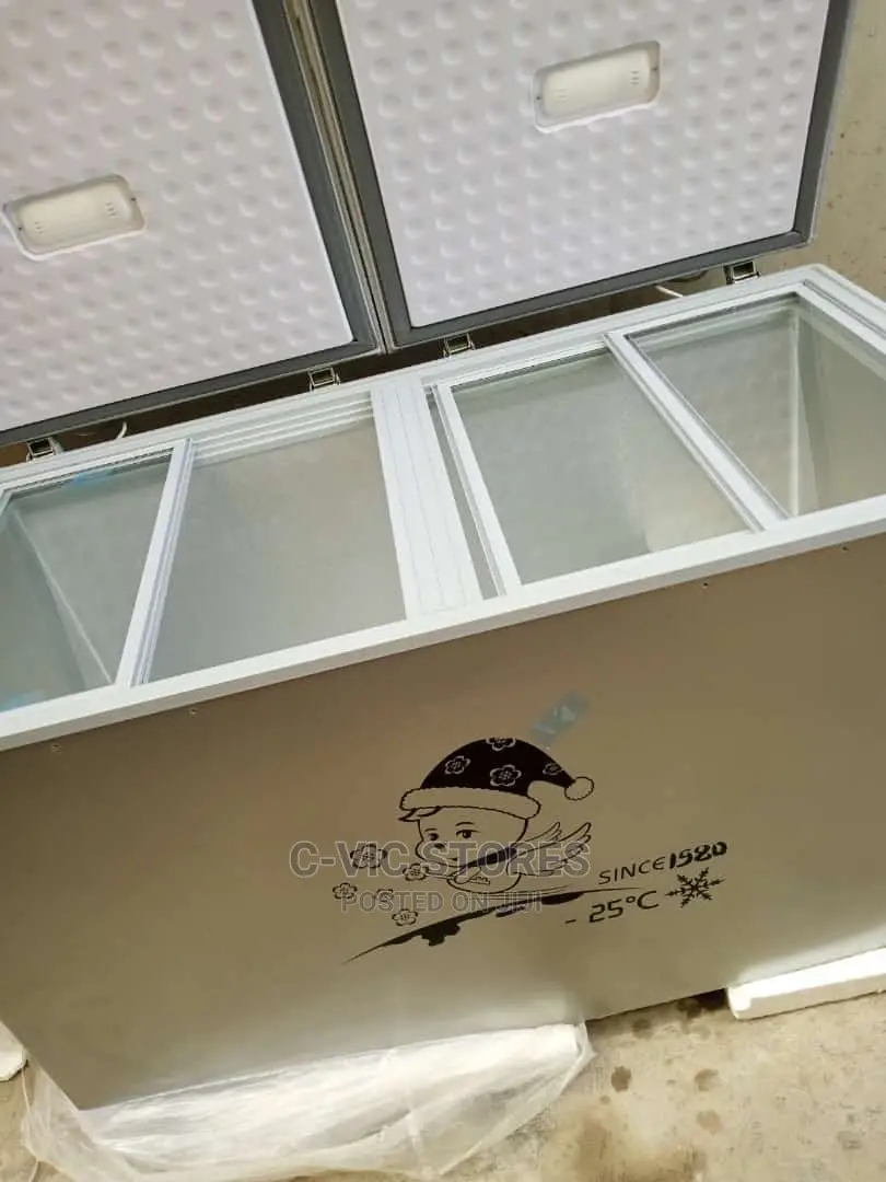 Snowsea Double Door Freezer Bd-600