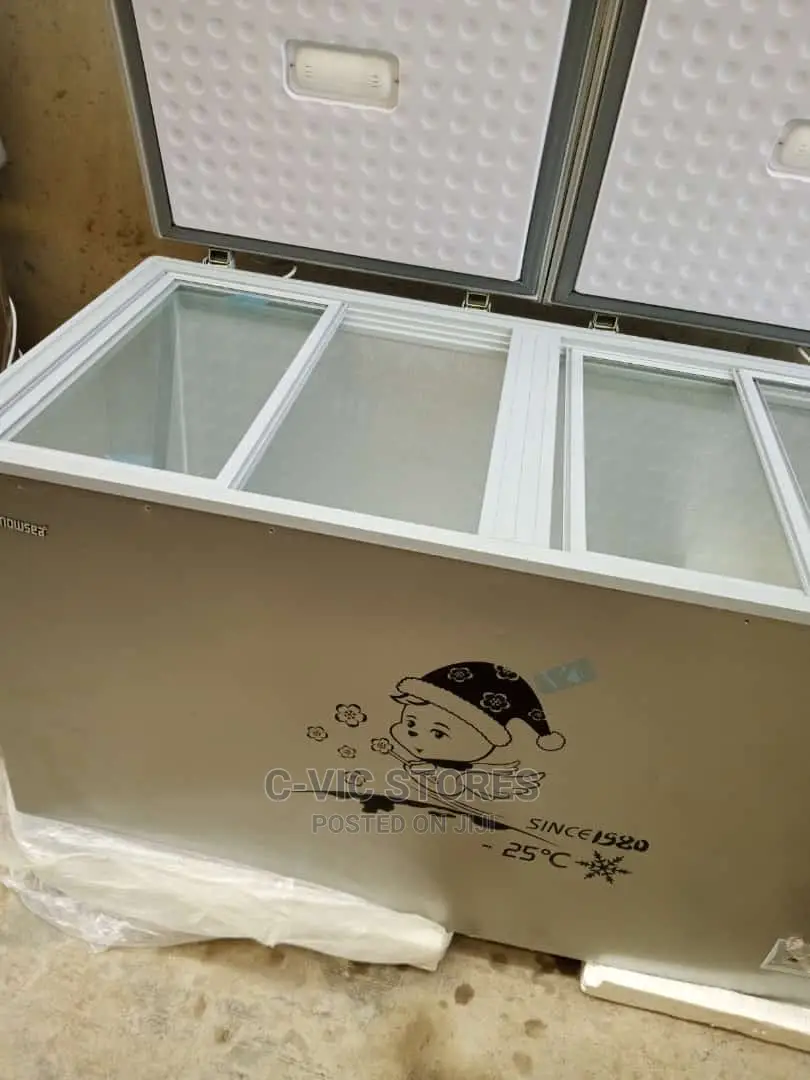 Snowsea Double Door Freezer Bd-600