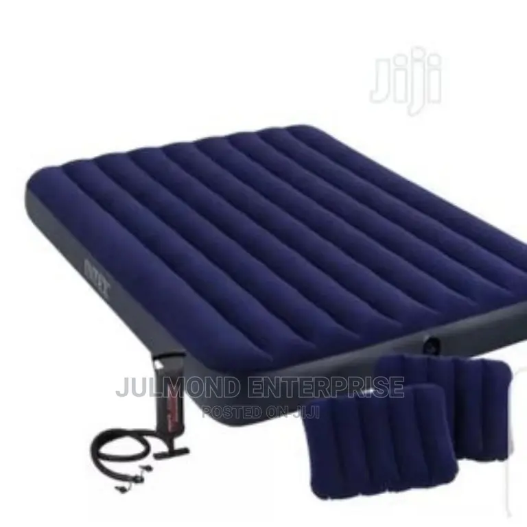 Intex Inflatable 2-3 Person Classic Downy Airbed