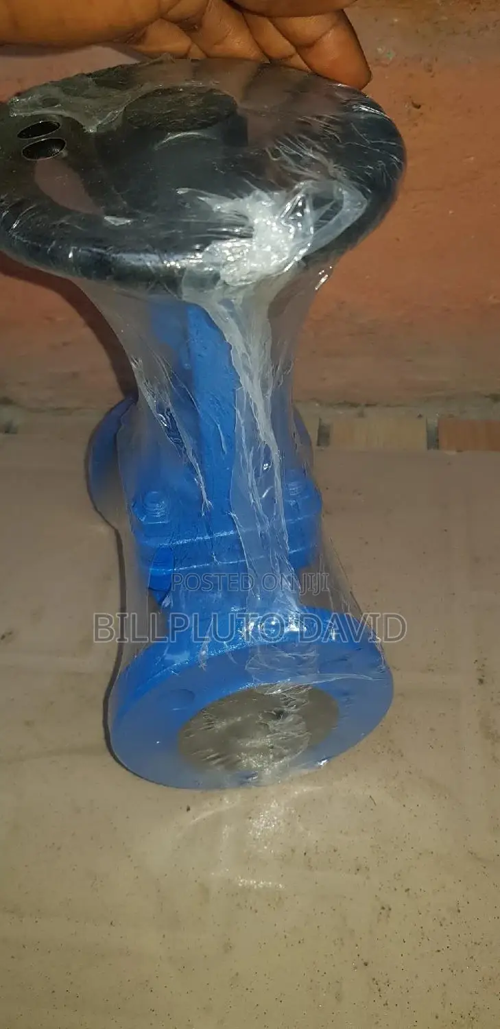 Globe Valves Flange