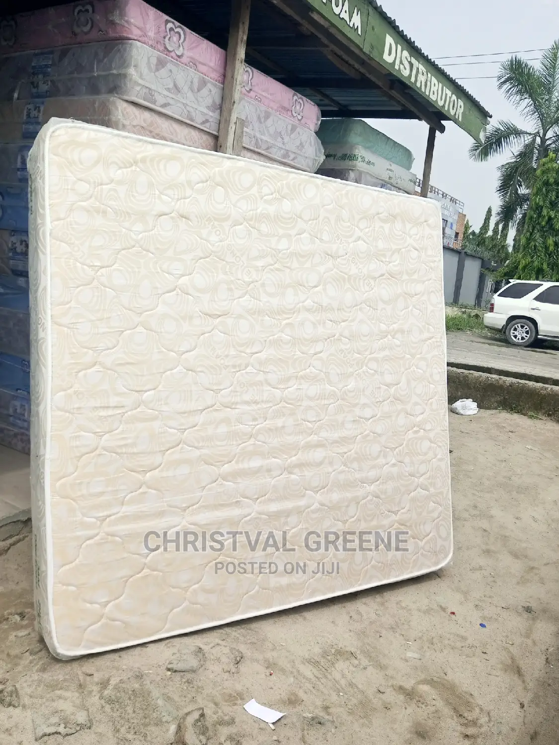 6x6x10 Inches Zhe Long Foam (Peony)