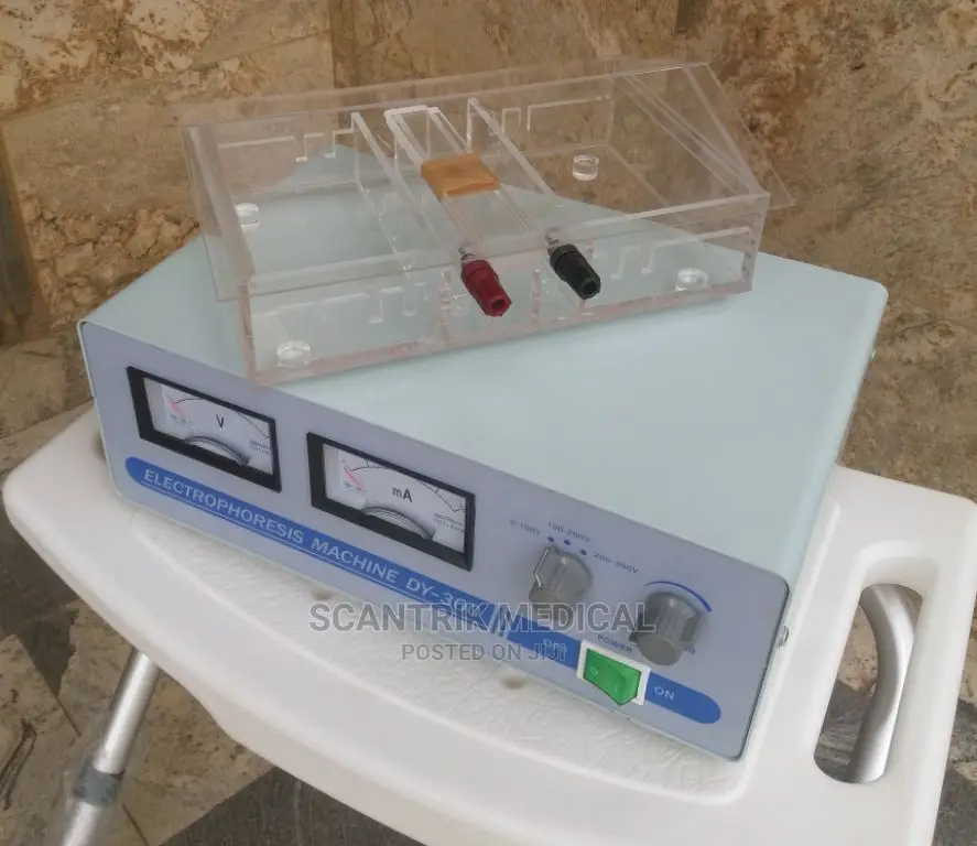 Portable Lab Equipment Electrophoresis Machine With Cell